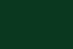 RAL_6005-zielony-mech