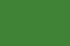 RAL_6017-majowa-zielen