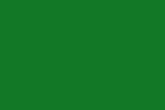 RAL_6029-zielony-mietowy