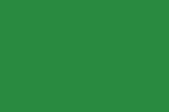 RAL_6032-zielony-sygnalowy