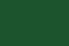 RAL_6035-pearl-green