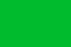 RAL_6038-luminous-green
